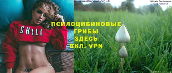 ПСИЛОЦИБИНОВЫЕ ГРИБЫ Армянск